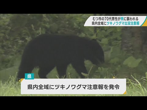 熊に襲われた」頭から血を流した状態で山菜取りの男性見つかる 青森