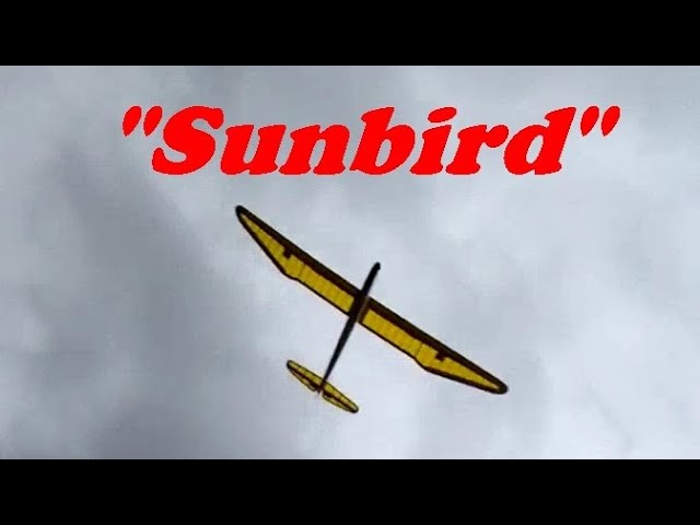 Sunbird