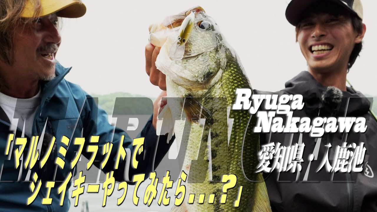 MARUNOMI FLAT | BASS | NORIES