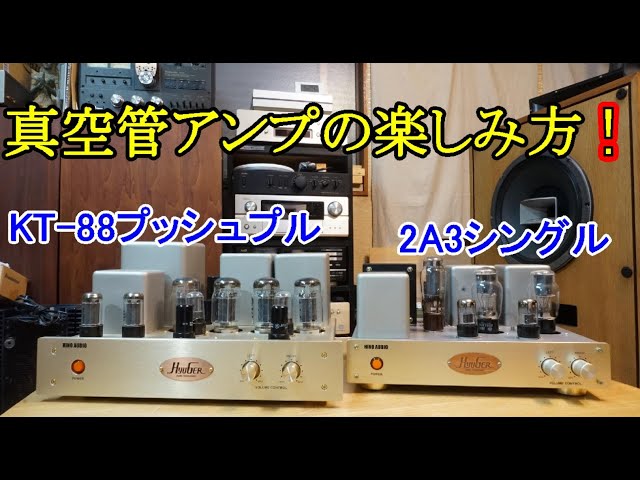Audio We would like to introduce you to how to enjoy vacuum tube