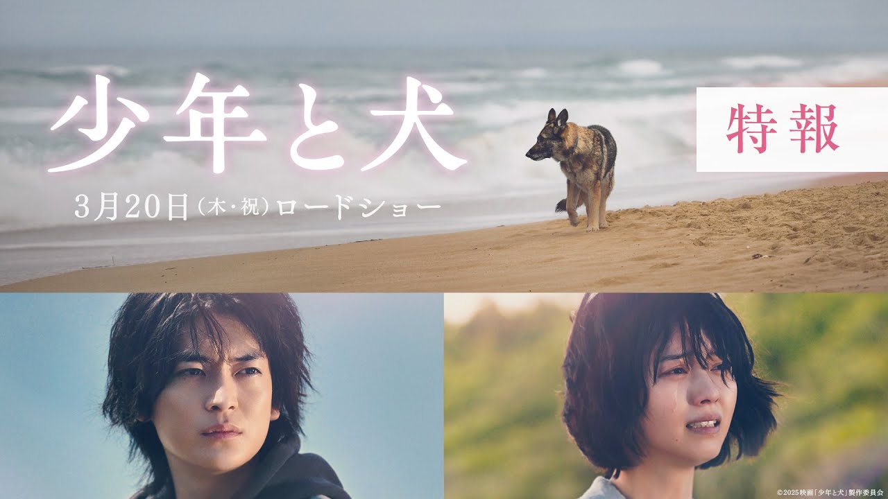 映画『少年と犬』特報映像【2025年3月20日(木・祝)公開】 - YouTube