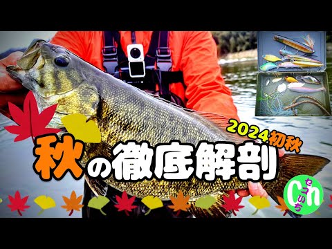 解説】2024秋のバス釣り徹底解剖【初秋編】【9月】【10月】【川