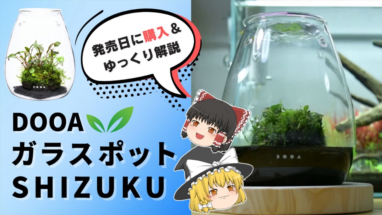 ADA DOOA NEW製品 GLASS POT SHIZUKU のご紹介 AquaRevue Neo CH