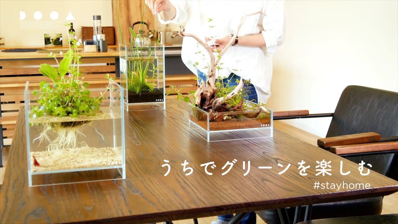 DOOA NEO GLASS AIR W20xD20xH30cm (fits terra base 160) – Aqua