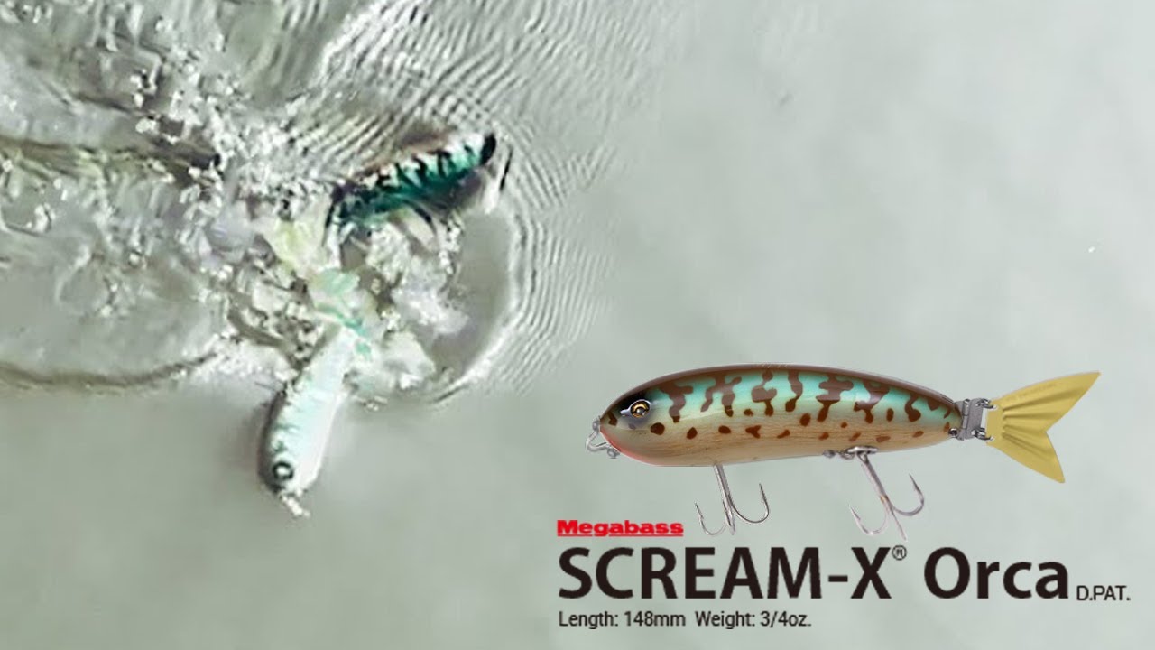 限定製作 | SCREAM-X | Megabass - メガバス オンラインショップ