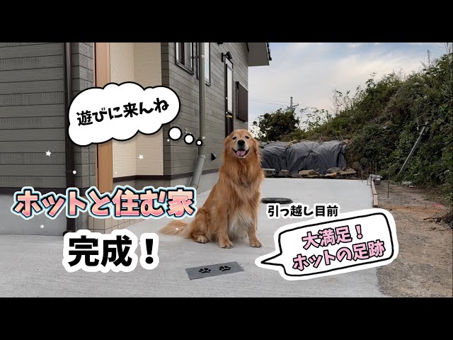 Building a house to live with Hot] Finally completed! Hot's house