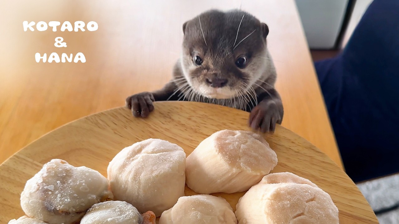 今はもう買えないミズノプロ初期第1世代のミットを実際に使ってみた