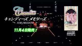 大人のための音楽／エンタメ総合ウェブサイト otonano PORTAL