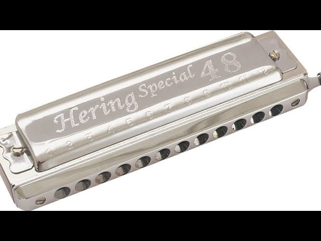 Hering Velvet Voice 48 ハーモニカ ヘリング クロマチック Hering