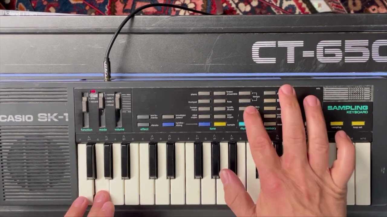 Is The Casio SK-1 a perfect entry into sampling or 80s Nostalgia