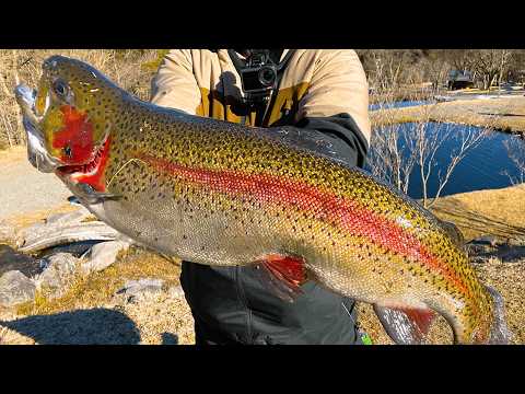 HERO'S ボーノ 隠キャ、釣りにハマる 3色×2種セット 釣りフェス 最終値