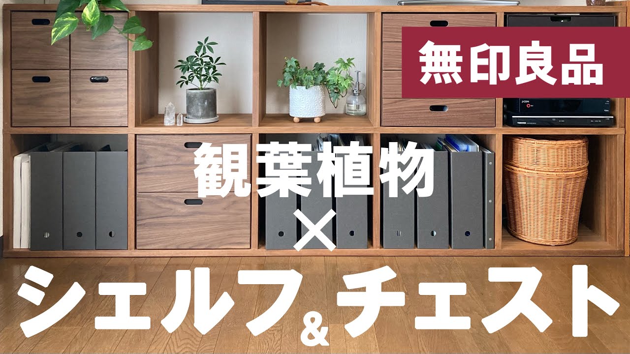 Improve your QOL with this amazing storage solution! [MUJI