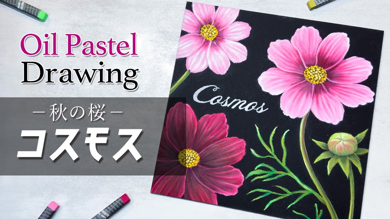 Lesson.60】チョークアートで秋の花コスモスを描こう | チョークトリオ