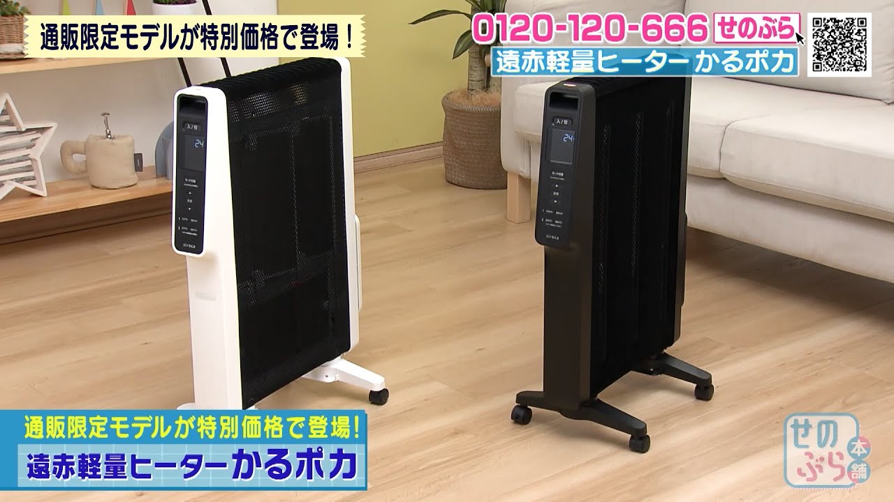 Special price for mail-order limited model 