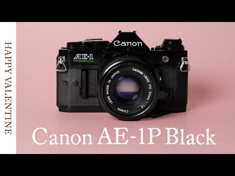 プログラムオートでフィルム初心者でも安心】レトロな見た目が可愛い