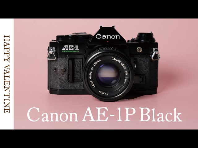 プログラムオートでフィルム初心者でも安心】レトロな見た目が可愛い