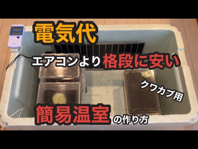 冬に向けてクワガタ、カブトムシ用の簡易温室の作り方を紹介！ - YouTube