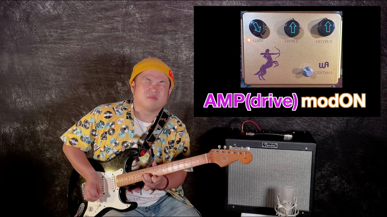 WARM AUDIO ( ウォームオーディオ ) Centavo Blackout オーバー