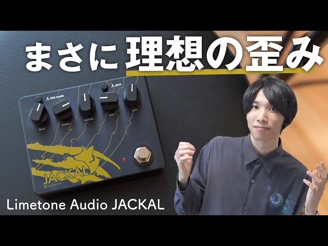 話題の最強歪みエフェクターを弾いてみた結果【Limetone Audio