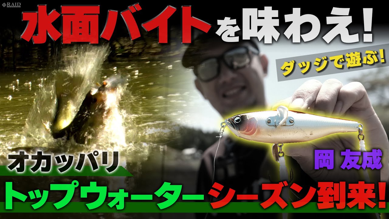 RAIDJAPAN] Play DODGE!! A water-surface jumping game!! [Tomonari