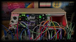 Michigan Synth Works Pachinko - Eurorack Module on ModularGrid