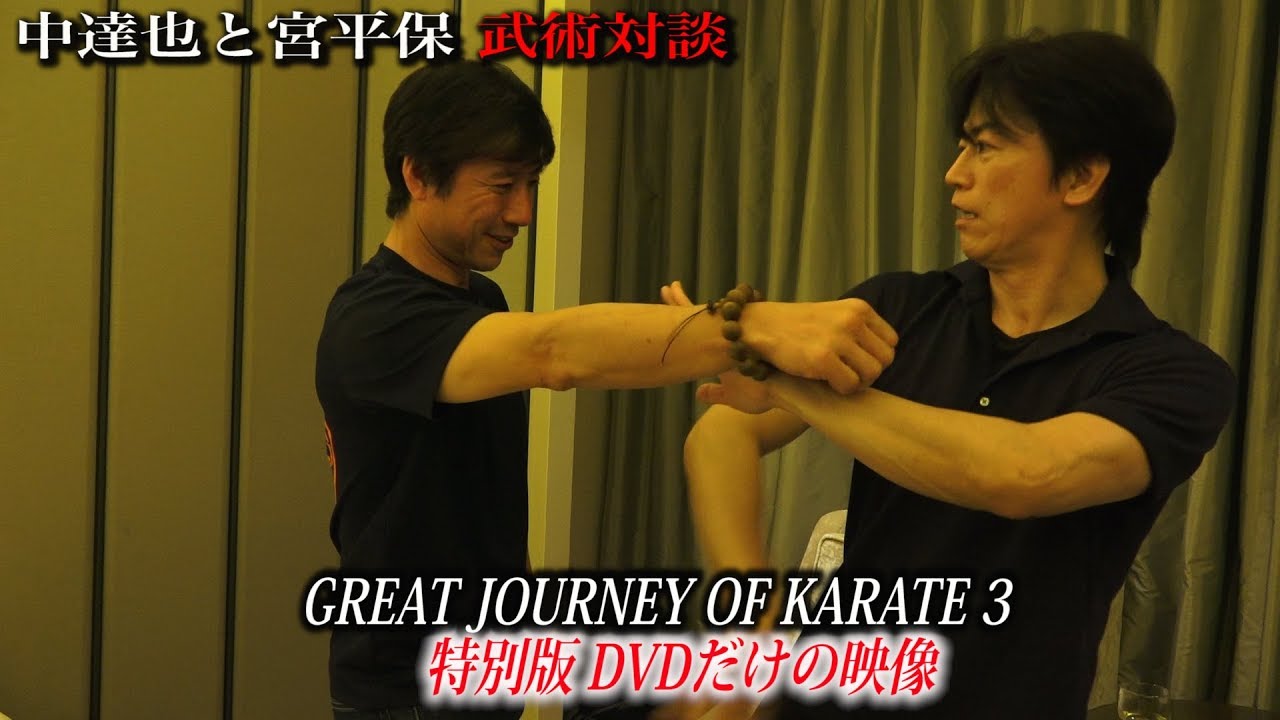 中達也と宮平保が本音で語る！実演付き武術対談！ - YouTube