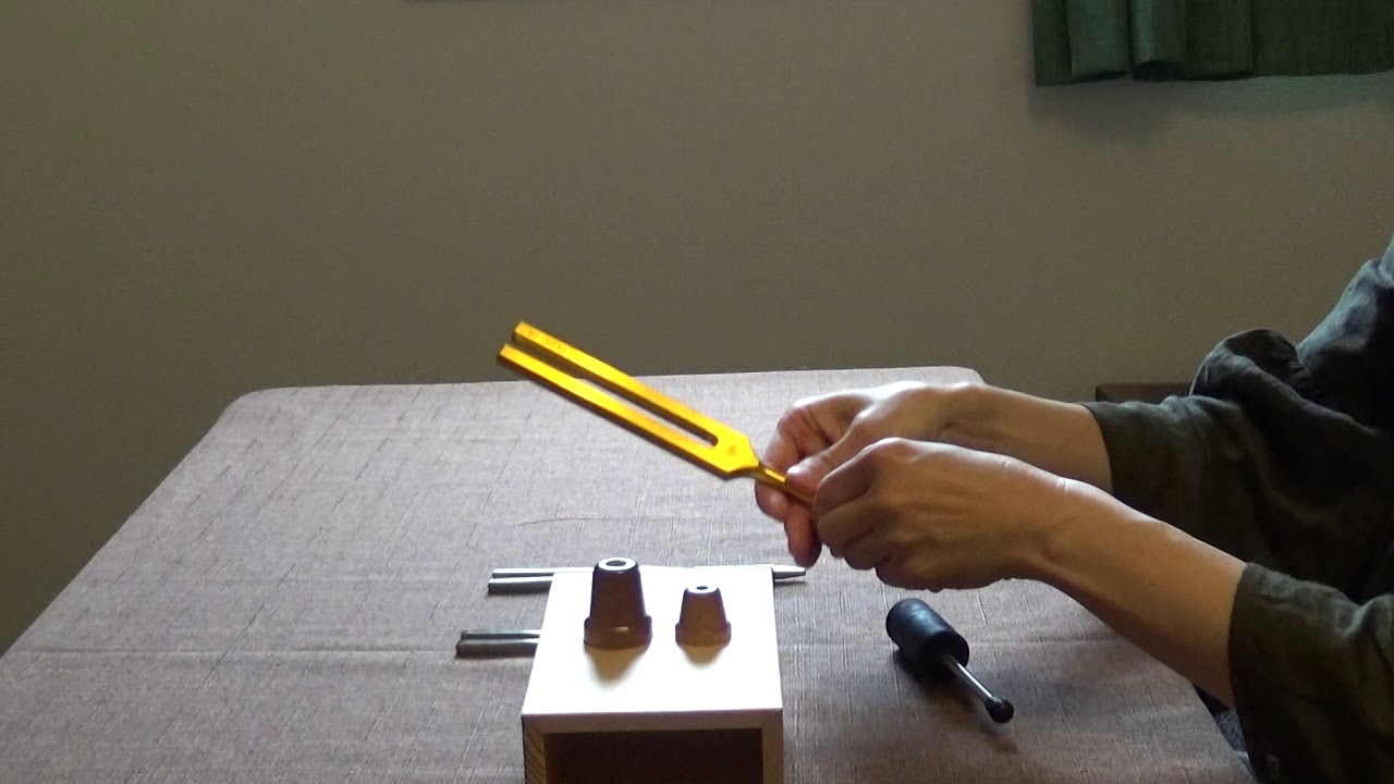 ペット専用チューナー「ザ・ペット」 - マドモアゼル・愛公式ショップ