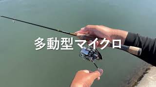 デイジー0.8g – VELVET ARTS Official Website | ベルベットアーツ公式