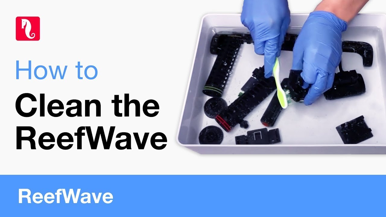 How to clean the ReefWave - YouTube