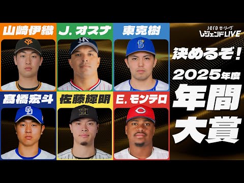 セ・リーグ開幕戦のボールです セ・リーグ開幕戦のボールです プロ野球