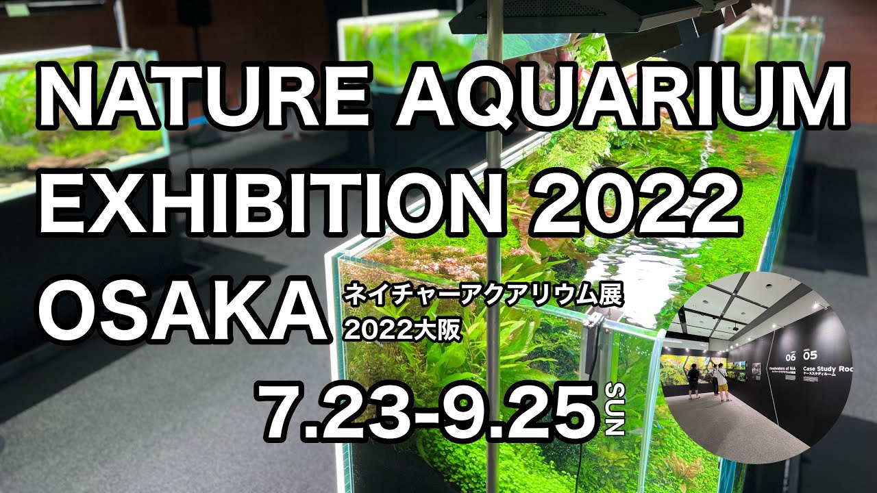 ADA 水景クリエーター本間氏解説 NATURE AQUARIUMR EXHIBITION 2022