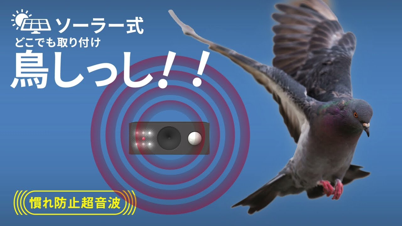 REP-700 ソーラー鳥しっし - YouTube