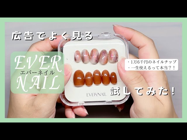 ノー案件】広告でよく見る『一生使えるネイルチップ』エバーネイルEVER