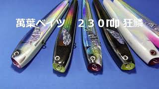 萬葉ベイツ 230RD 狂鱗リバースダンクポップ NB-EYE-TOKYO