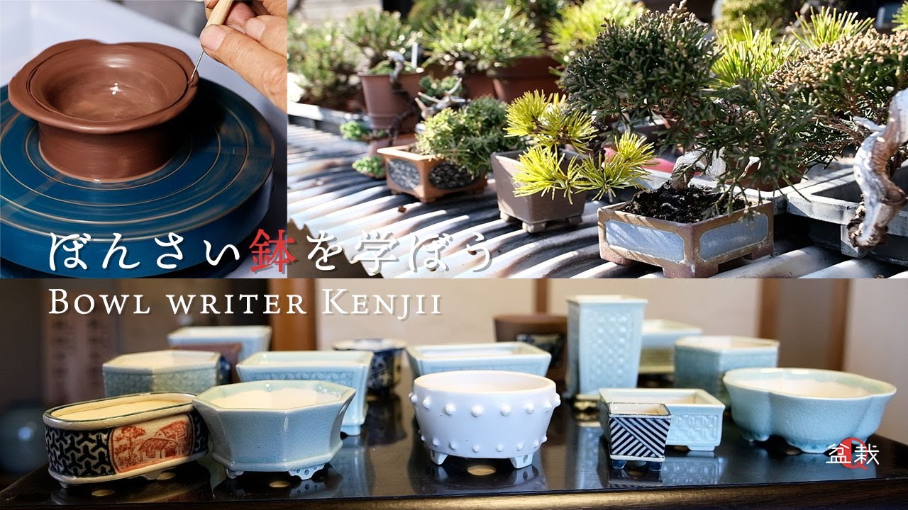 盆栽鉢】独学10年!小鉢作家けんじいさんの鉢作り【盆栽Q】 - YouTube