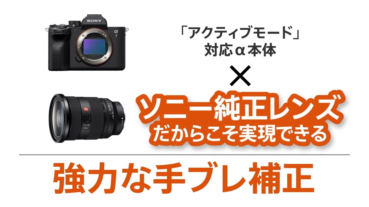 ヨドバシ.com - ソニー SONY SELP18105G E PZ 18-105mm F4 G OSS