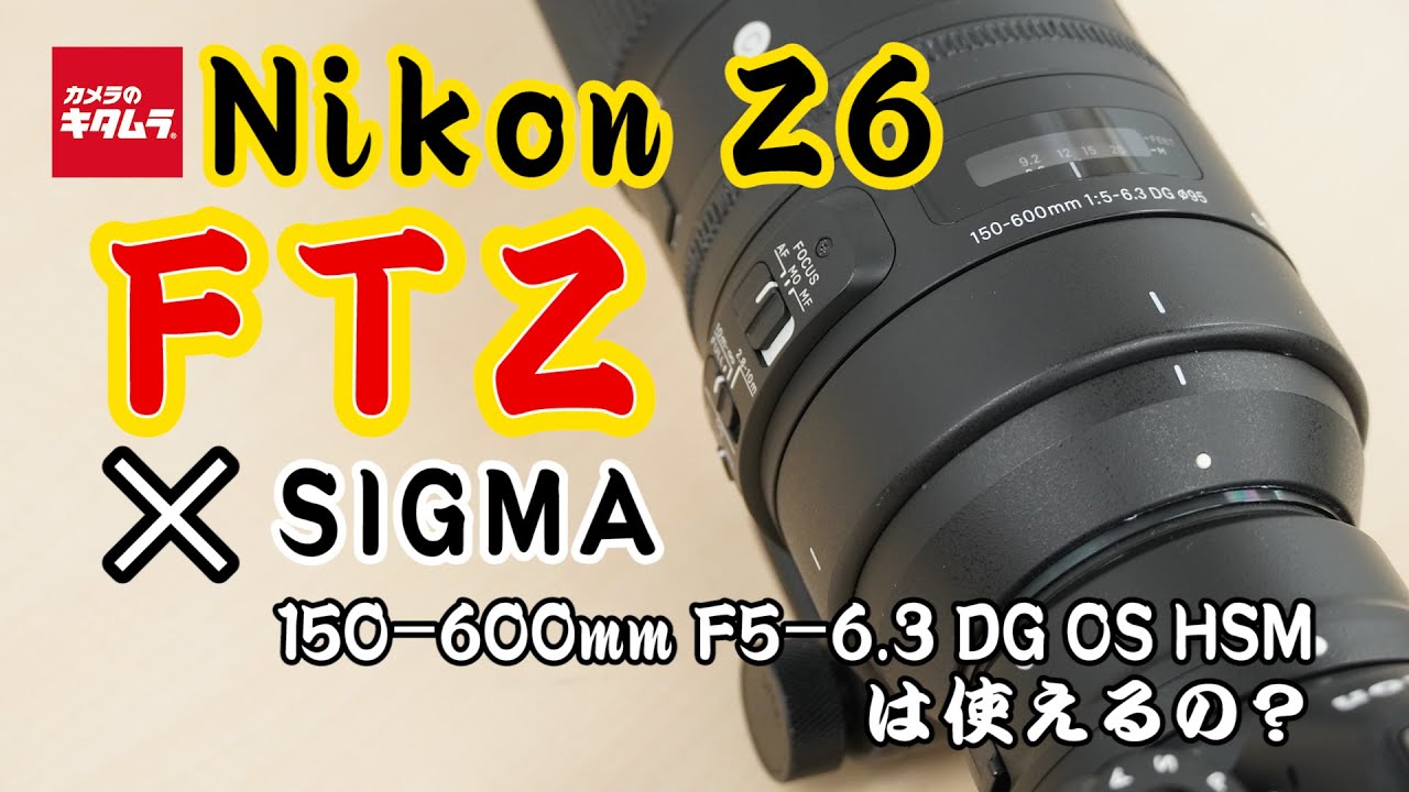 ニコン Z6とマウントアダプターFTZでシグマ 150-600mm F5-6.3 DG OS