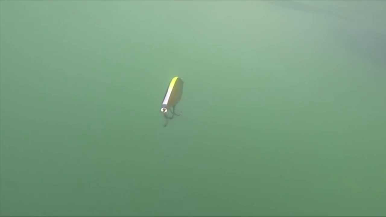 No.108 VAGABOND GLIDE HUSTLER PV - YouTube