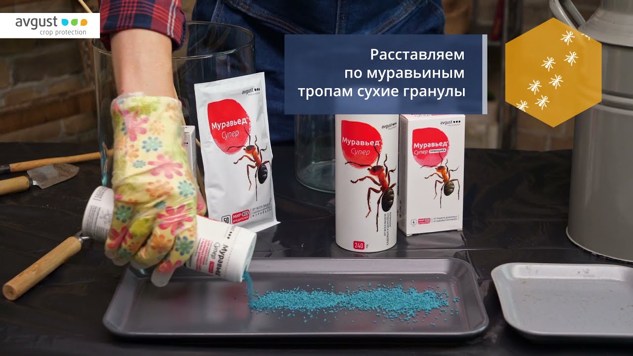 Муравьед Супер - средство от садовых и домовых муравьев