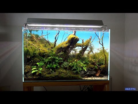 ADA新商品 ライトスクリーン紹介 後ろから光がぽわ〜と出てきてなんか