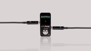 TC Electronic PolyTune 3 Polyphonic Mini Pedal Tuner Noir | Guitar