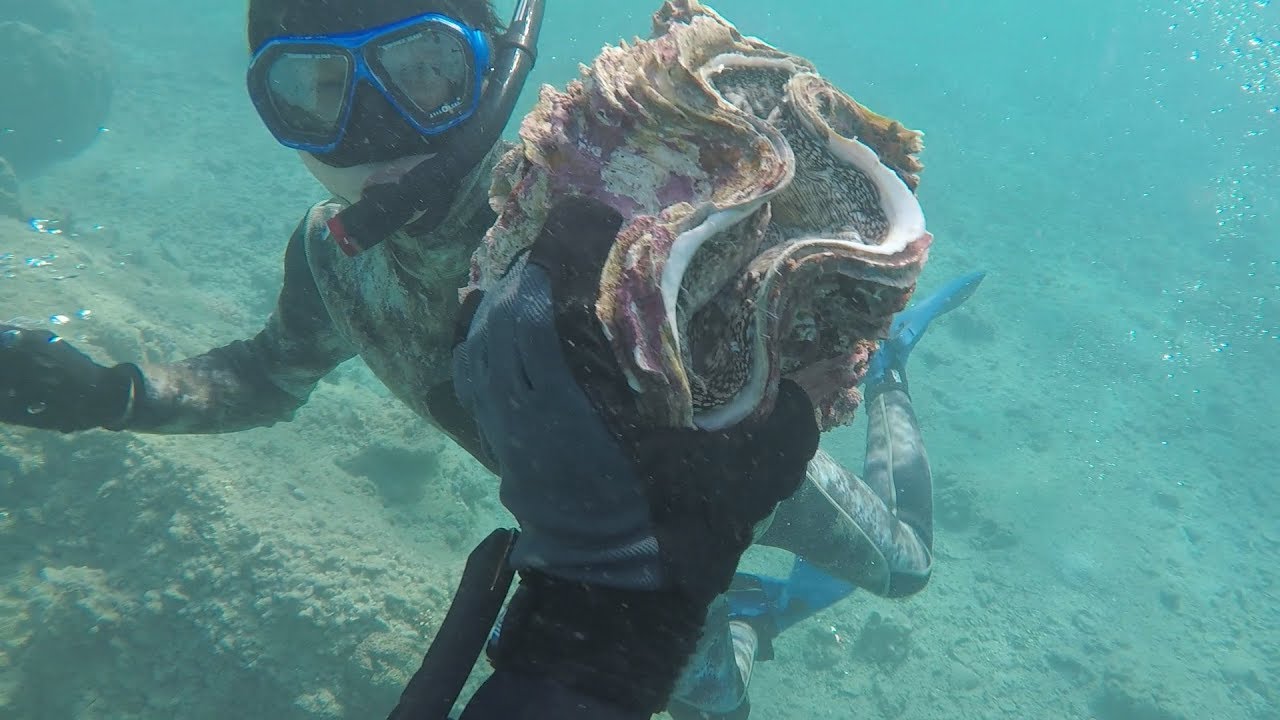 Catch and cook giant clam.Japanese fisherman food. - YouTube