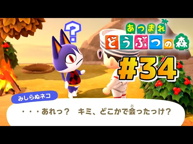 新作】みんな見知っている「みしらぬネコ」。【あつまれどうぶつの森