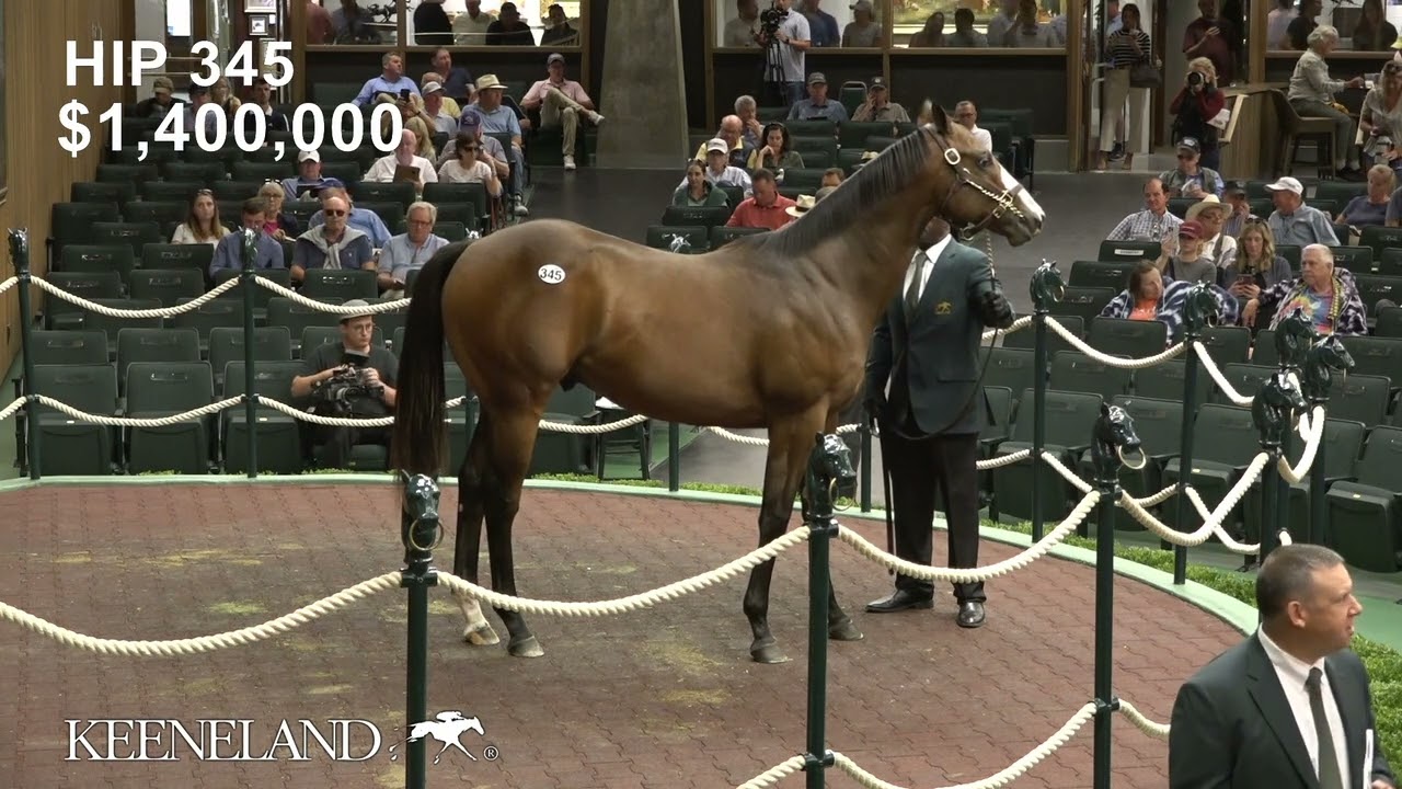 クリスタル Running Horse クリスタル Running Horse クリスタル