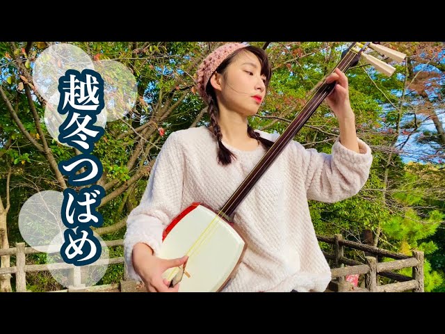 津軽三味線弾き語り】帰ってこいよ/松村和子 cover 駒田早代 (shamisen