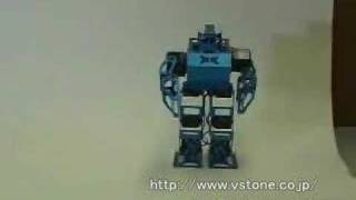 二足歩行ロボットキットRB2000 基本動作 - YouTube