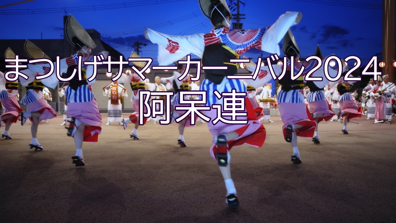 阿波踊り2024】阿呆連 まつしげサマーカーニバル - YouTube