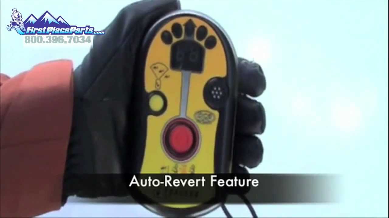 maxresdefault.jpg?sqp=-