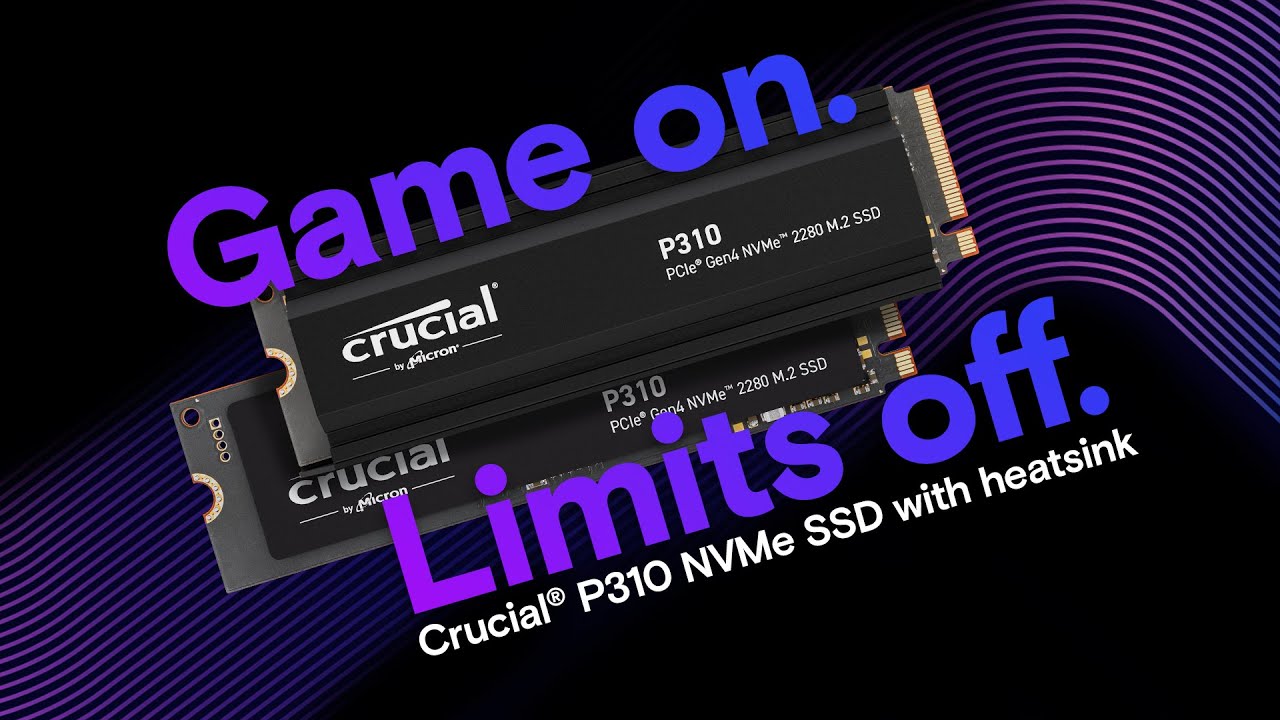 Crucial P310 1TB PCIe Gen4 NVMe 2280 M.2 SSD | CT1000P310SSD8