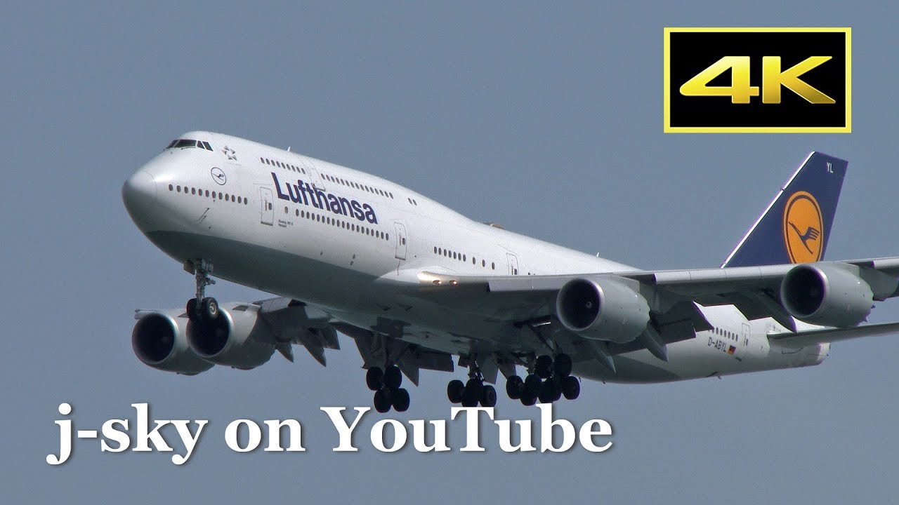 4K] Lufthansa Boeing 747-8 at Tokyo Haneda Airport / 羽田空港